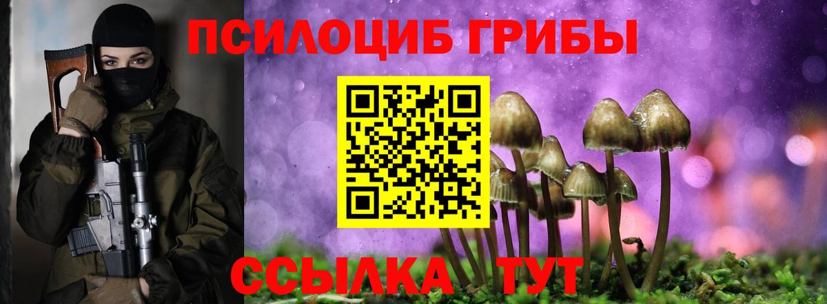 где можно купить наркотик  Вход с VPN  Екатеринбург  Галлюциногенные грибы Cubensis 