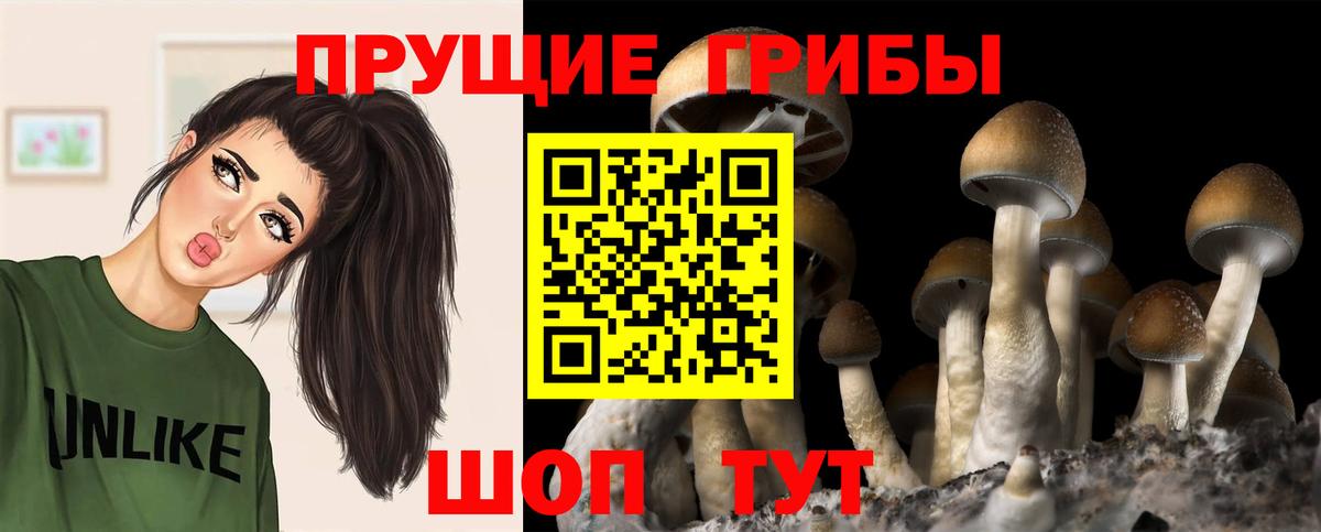 Псилоцибиновые грибы мухоморы Екатеринбург